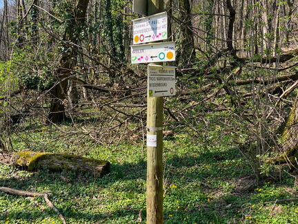 4AE2B4C4-2DC0-4940-B294-4D6AC135EEC3-22244-000004EE60E17D03